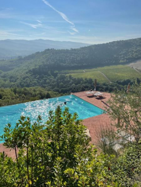 Castello Vicchiomaggio Greve In Chianti